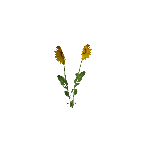 Flower 1 (Type 4)